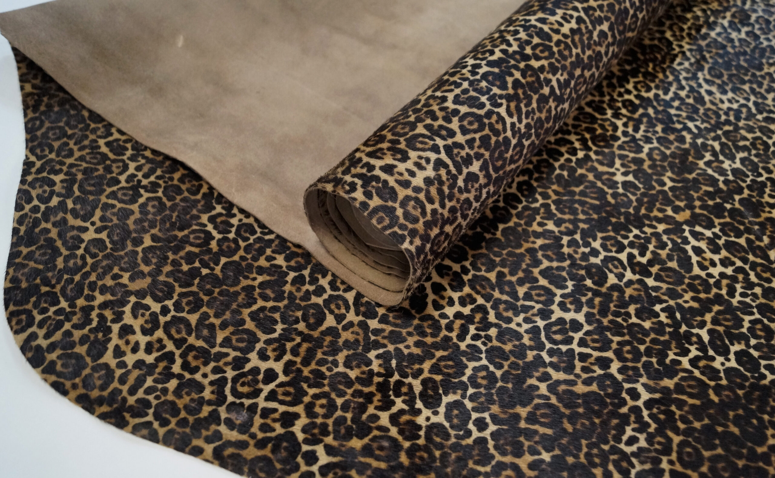 LEOPARDO