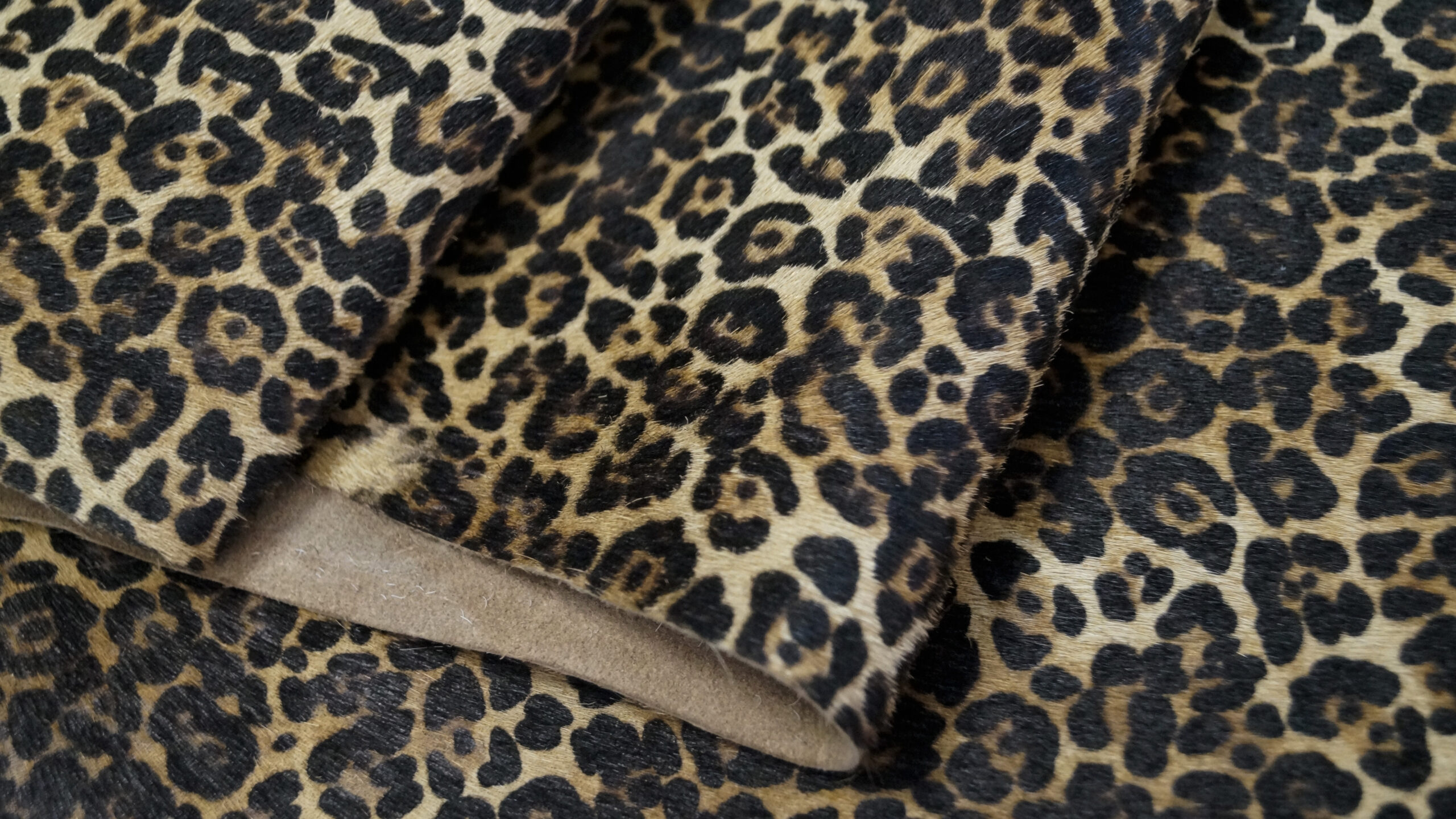 LEOPARDO