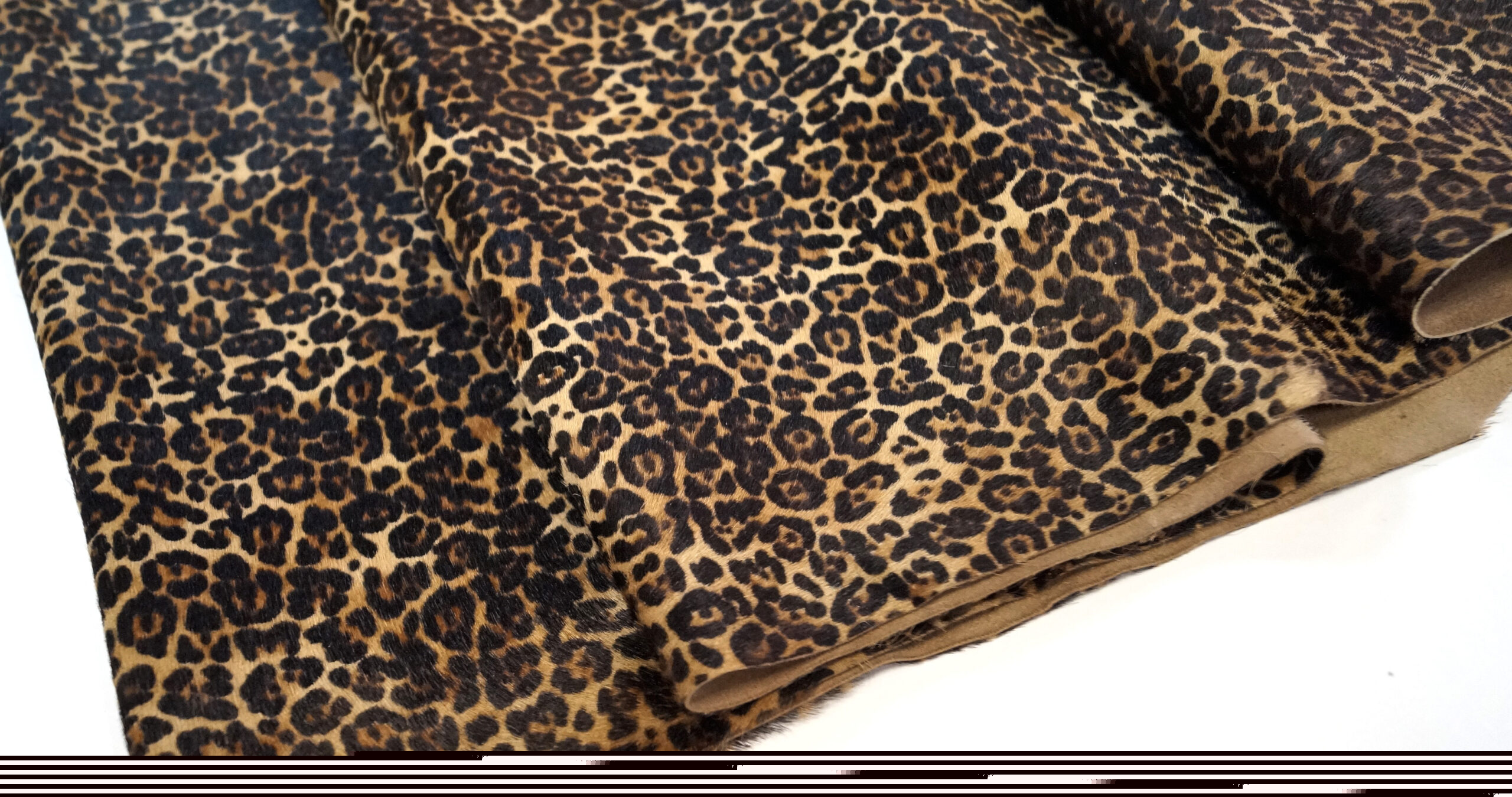 LEOPARDO