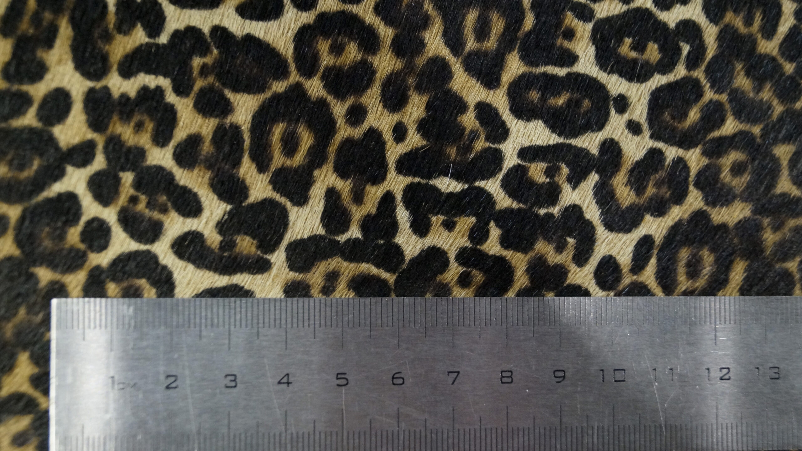 LEOPARDO