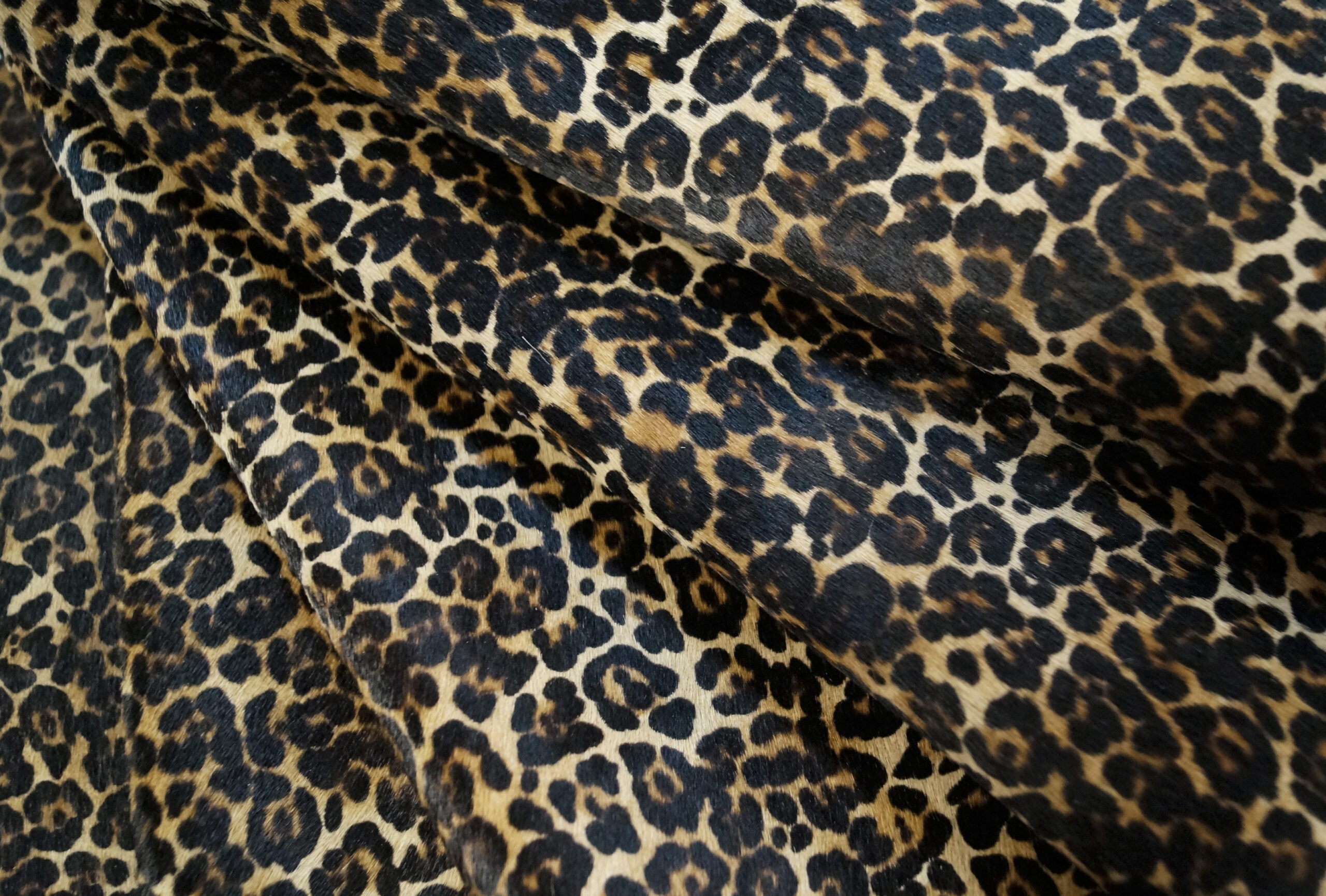 LEOPARDO